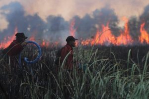 More than 170,000 respiratory cases recorded in haze-choked Indonesia.