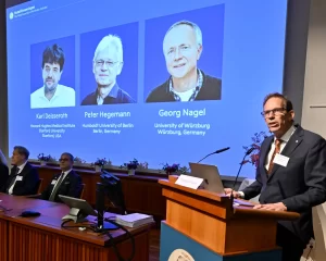 The three recipients, (from left) Karl Deisseroth, Peter Hegemann and Georg Nagel are shown on screen during the Nobel prize announcement.